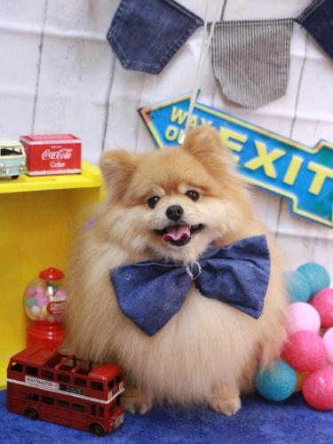 20230407梛都ちゃん